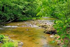 paint-creek